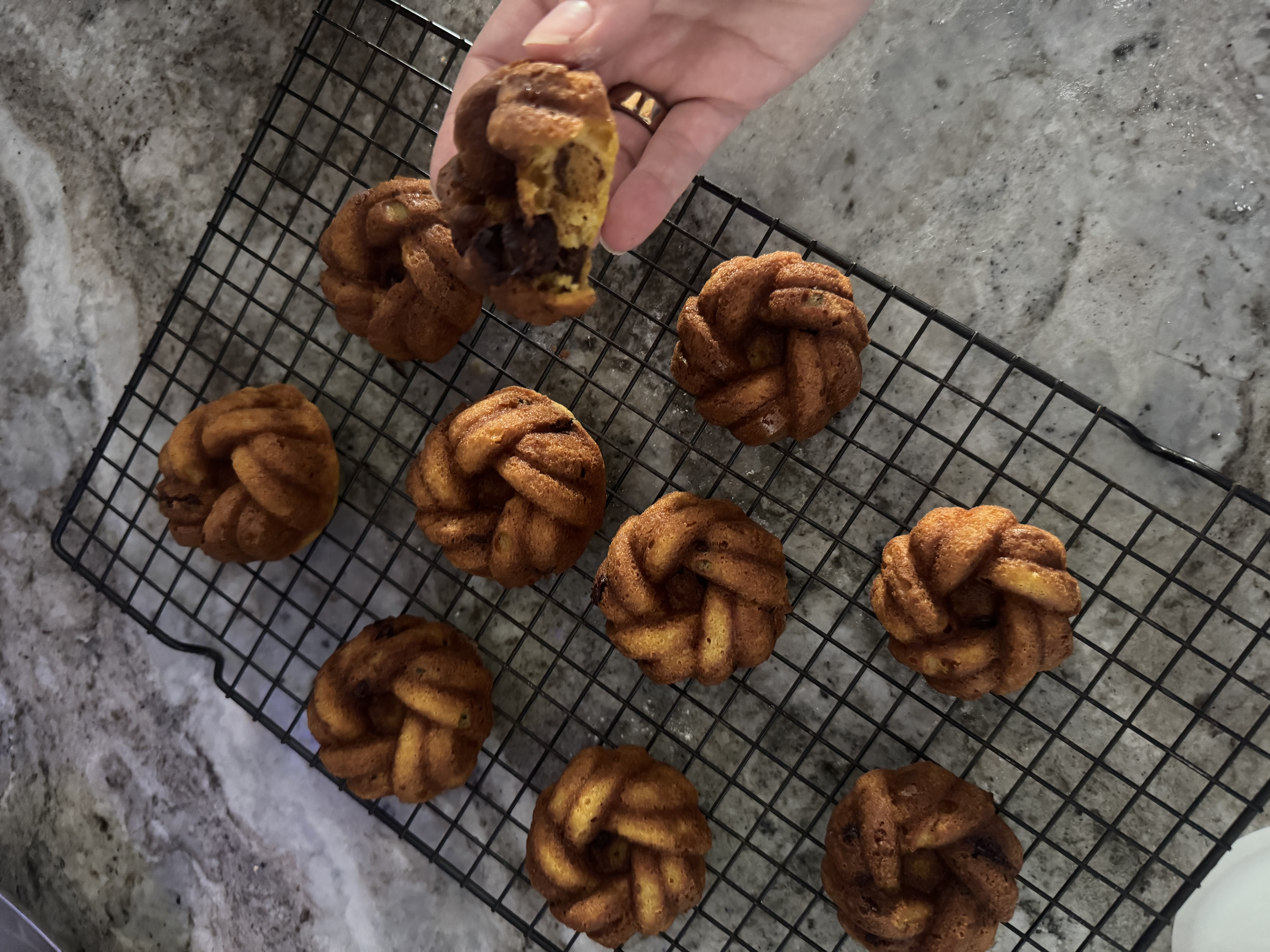 Pumpkin Chocolate Chip Muffins